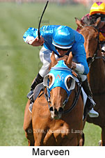 Marveen (14772 bytes)