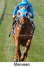 Marveen (14772 bytes)