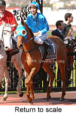 Return to scale (14008 bytes)