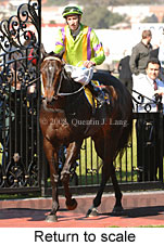 Return to scale (14008 bytes)