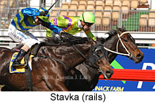 Stavka (14772 bytes)