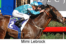 Mimi Lebrock (14772 bytes)