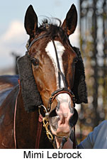 Mimi Lebrock (14772 bytes)