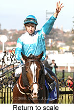 Return to scale (14008 bytes)