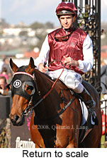 Return to scale (14008 bytes)