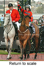 Return to scale (14008 bytes)