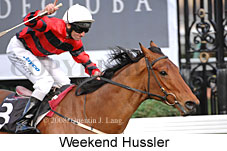 Weekend Hussler (17571 bytes)