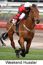Weekend Hussler (14772 bytes)