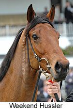 Weekend Hussler (14772 bytes)