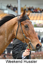 Weekend Hussler (14772 bytes)