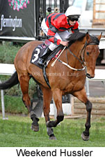 Weekend Hussler (14772 bytes)