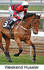 Weekend Hussler (14772 bytes)