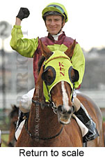 Return to scale (14008 bytes)