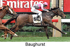 Baughurst (14772 bytes)