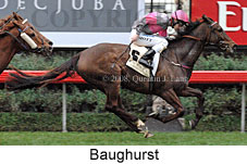 Baughurst (14772 bytes)