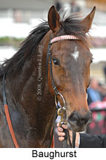 Baughurst (14772 bytes)