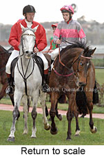 Return to scale (14008 bytes)