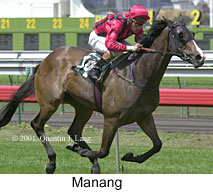 r1manang.jpg (16394 bytes)