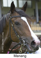 r1manang2.jpg (10937 bytes)