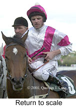 r4rtosc.jpg (12402 bytes)