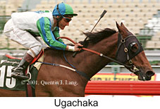 r5ugachaka.jpg (15090 bytes)