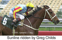 r6sunline.jpg (15890 bytes)