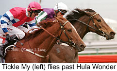 r7ticklemy.jpg (16351 bytes)