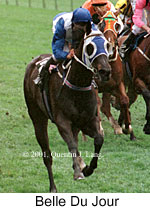 r8belledujour.jpg (14620 bytes)