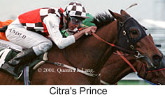r9citrasprince.jpg (13317 bytes)