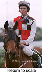 r9rtosc.jpg (12153 bytes)