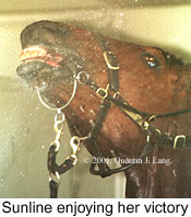 sunline2.jpg (12931 bytes)