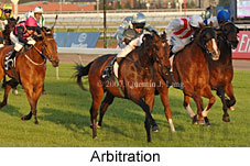 Arbitration (17710 bytes)