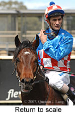 Return to scale (16571 bytes)