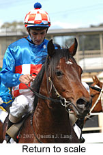 Return to scale (16571 bytes)