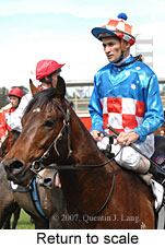 Return to scale (16571 bytes)