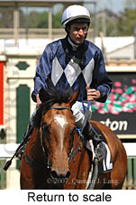 Return to scale (16571 bytes)