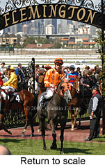 Return to scale (16571 bytes)