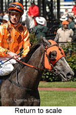 Return to scale (16571 bytes)