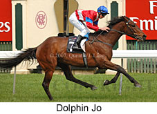 Dolphin Jo (17710 bytes)