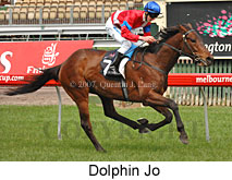 Dolphin Jo (17710 bytes)