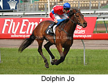 Dolphin Jo (17710 bytes)