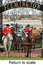 Return to scale (16571 bytes)