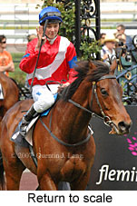 Return to scale (16571 bytes)