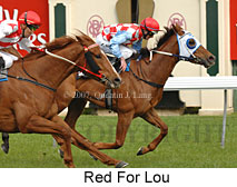 Red For Lou (17710 bytes)