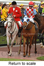 Return to scale (16571 bytes)