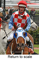 Return to scale (16571 bytes)