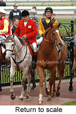 Return to scale (16571 bytes)