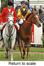 Return to scale (16571 bytes)