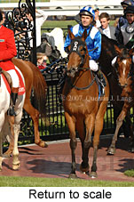 Return to scale (16571 bytes)