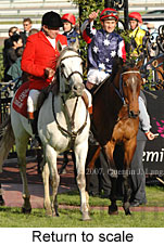 Return to scale (16571 bytes)